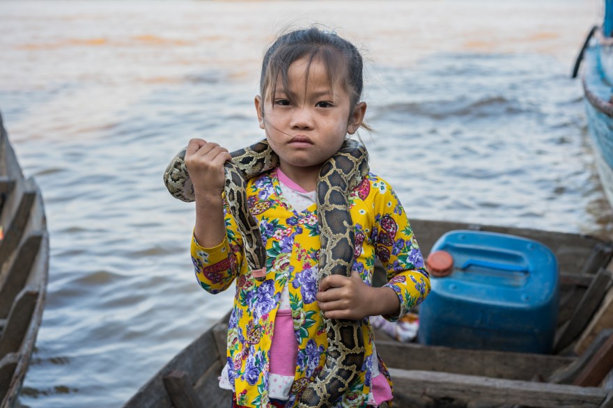 26854789037_2aa618d04c_k